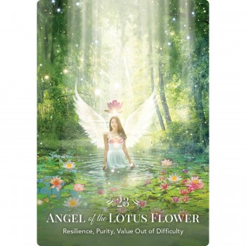 Angels of Nature Oracle kortos Hay House